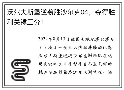 沃尔夫斯堡逆袭胜沙尔克04，夺得胜利关键三分！